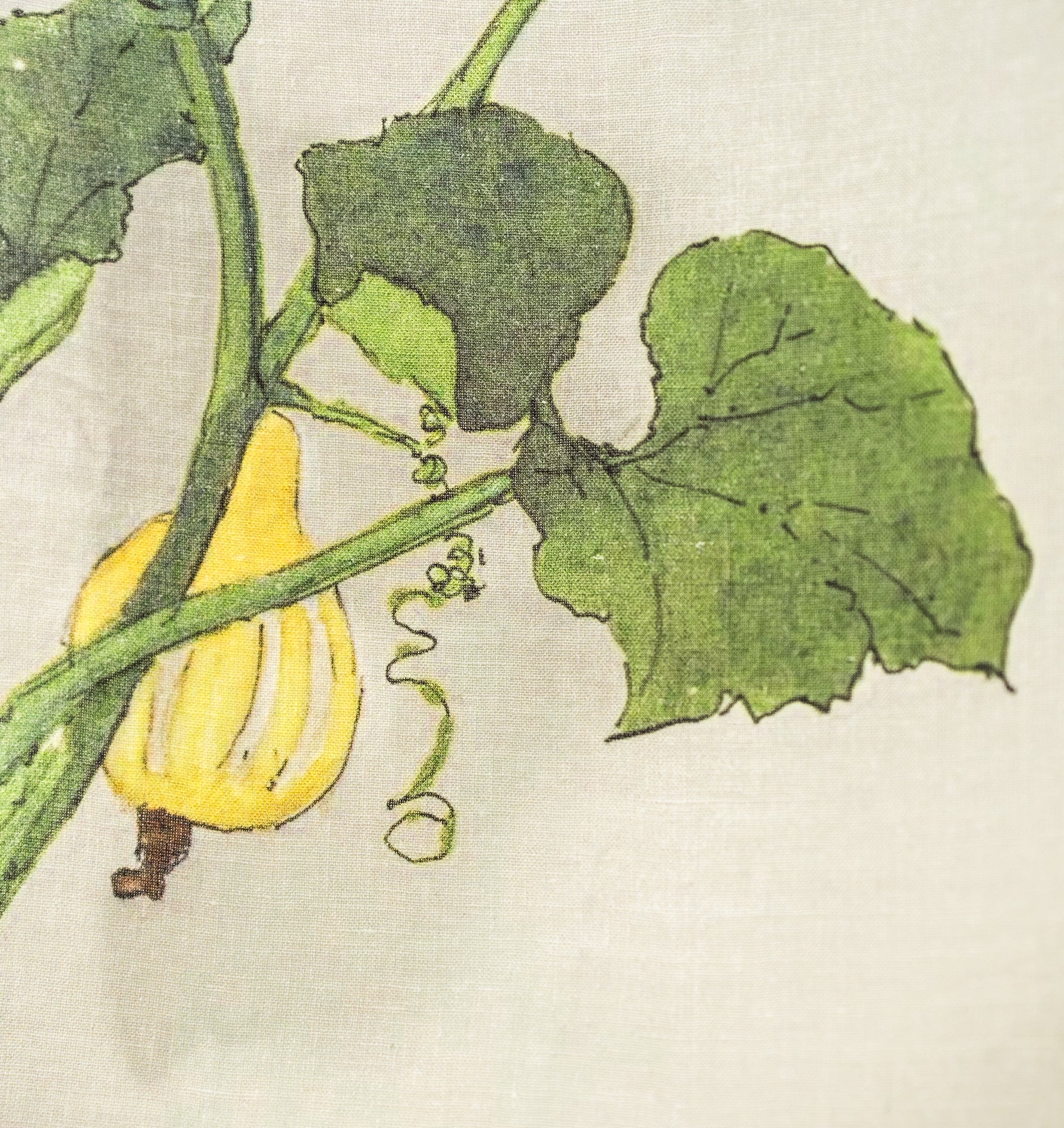 Natural Linen Squash Tea Towel