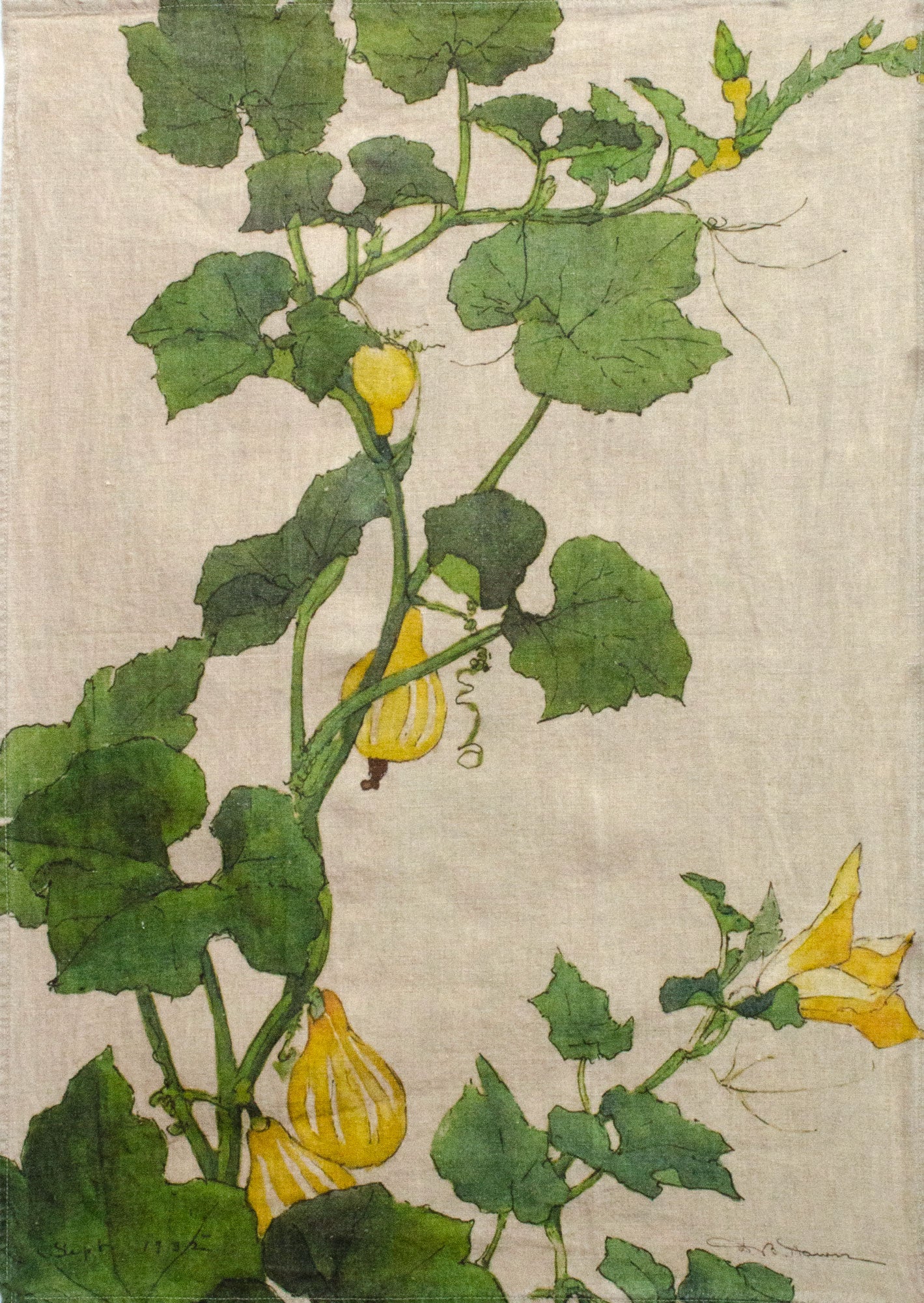 Natural Linen Squash Tea Towel