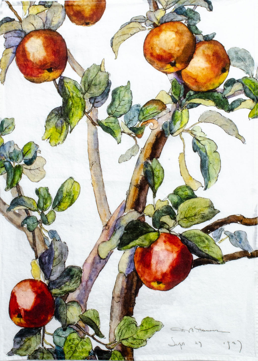 Artistic depiction of an apple tree with apples and leaves on a white background