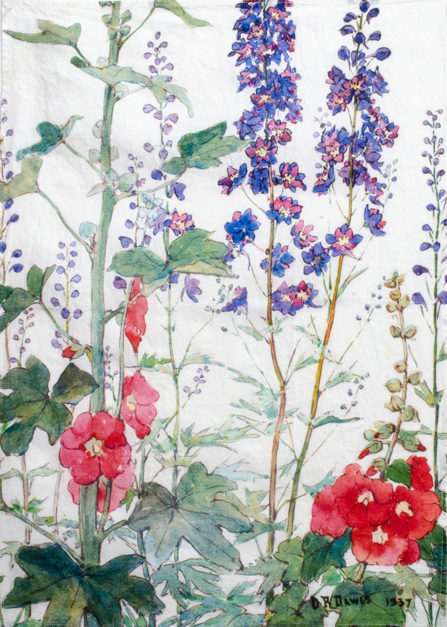 Watercolor painting of flowers including pink and red blooms and blue and purple flowers on a white background.