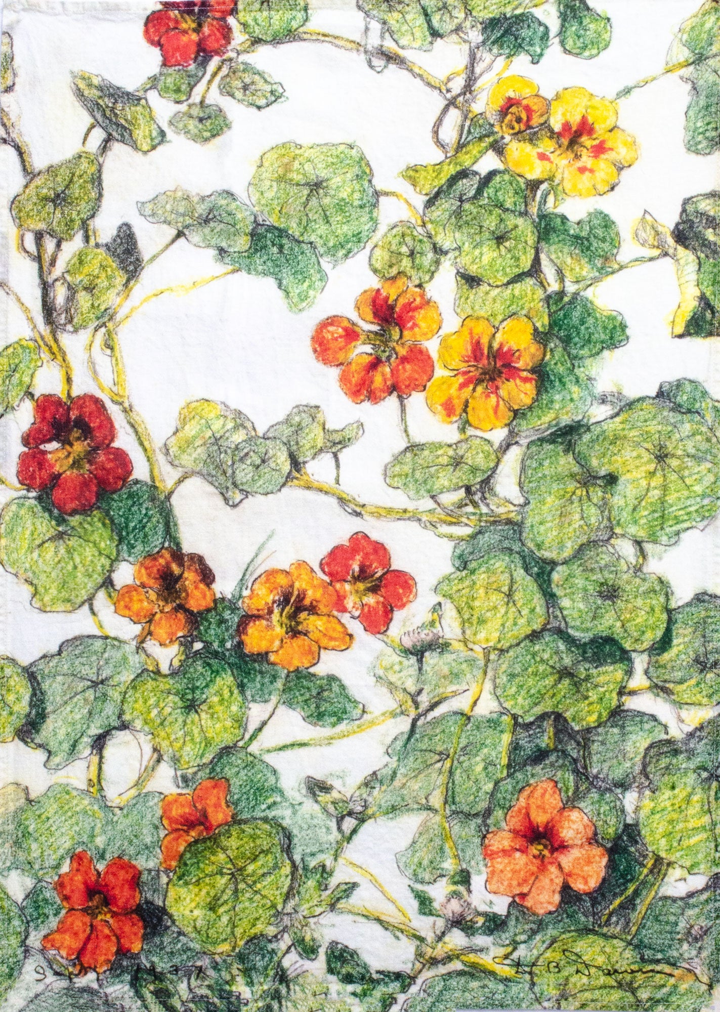 White Linen Nasturtium Tea Towel